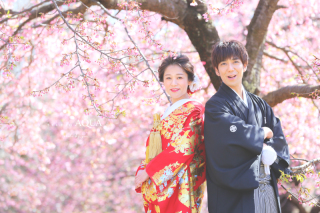 「代々木公園で河津桜」