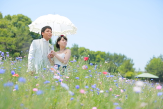 花と緑と青空と