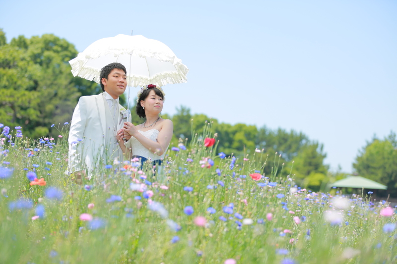花と緑と青空と