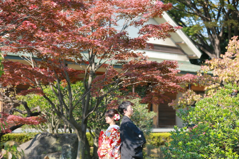 『木漏れ日＋背中合わせ』