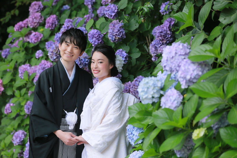 6月の紫陽花ロケ受付開始!