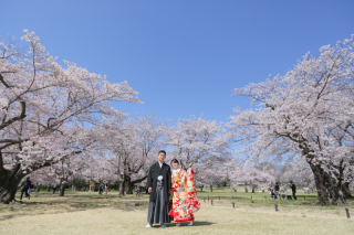 桜満開！ロケーション日和♪