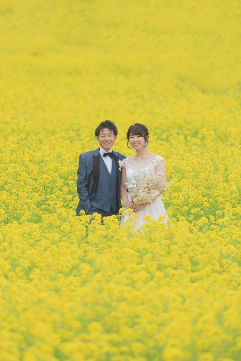 黄色一面の世界