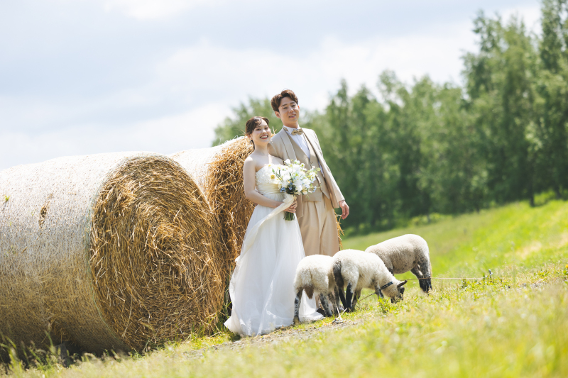 羊さんたちと＾＾
