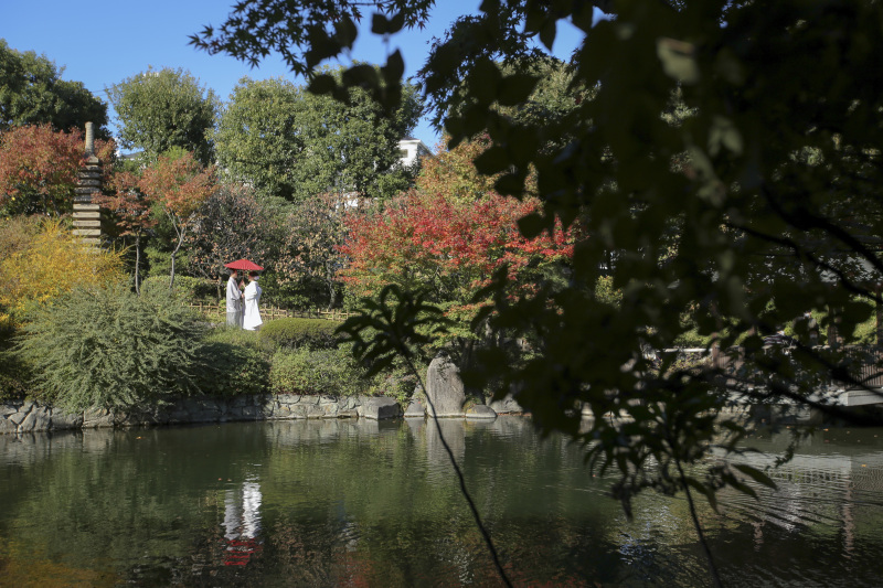 目白の推しスポット!