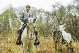 雨の乗馬ロケーション