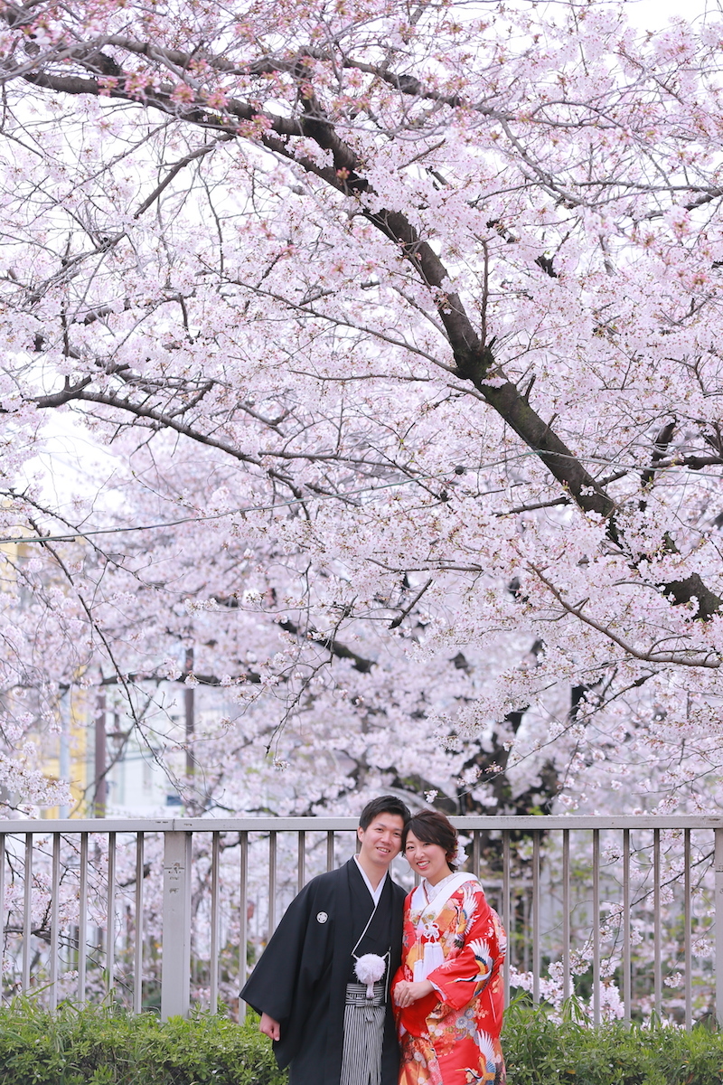 満開迎えました！！！！