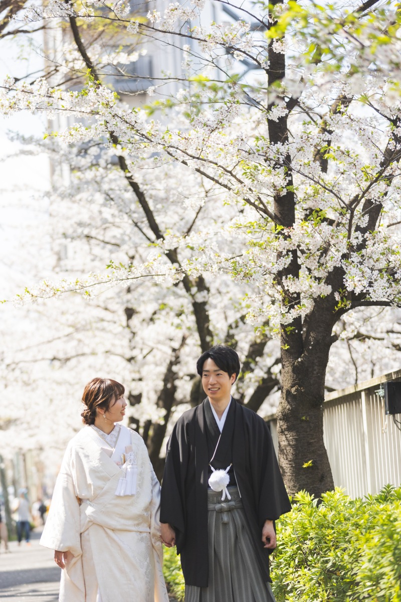 緑のあとは桜と、、、