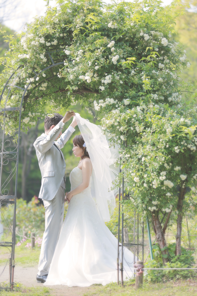 春先から秋まで…♪