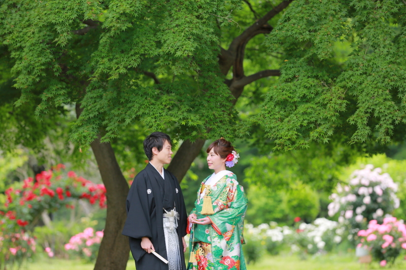 鮮やかな新緑を背景に♪