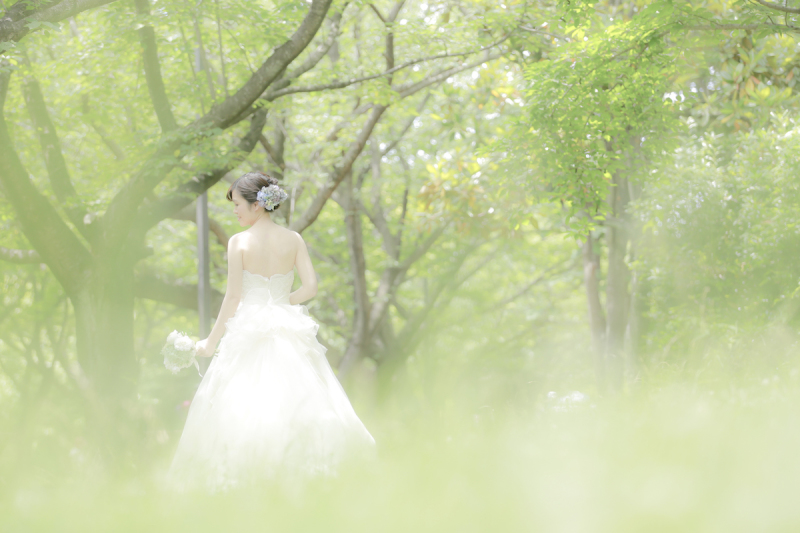 『緑＋暖かい光』