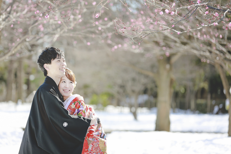 梅も咲き揃いはじめていました！