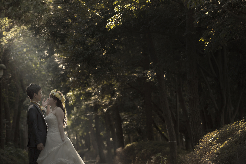 『木漏れ日＋ダンス』