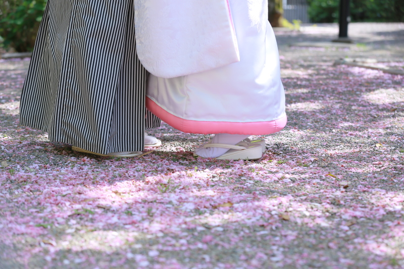 桜や梅などなど