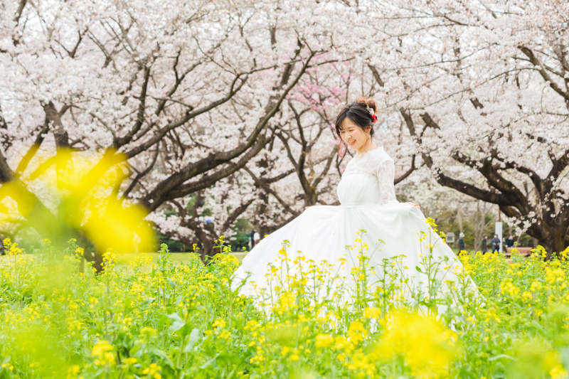 菜の花×桜がふんわり可愛い!