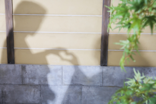 和装屋内庭園スタジオ