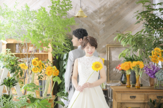 ハウススタジオ