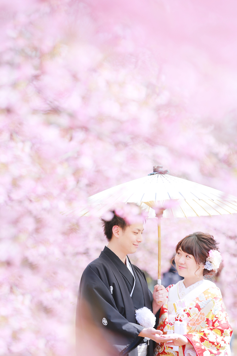 2月下旬〜3月頭まで