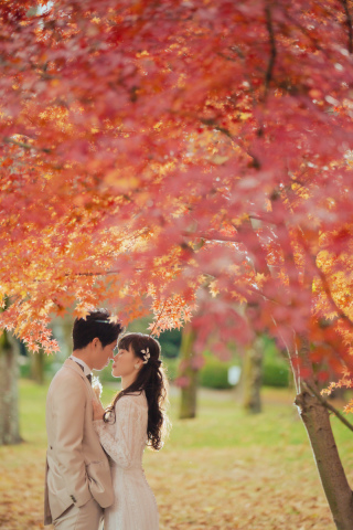 最後の紅葉撮影