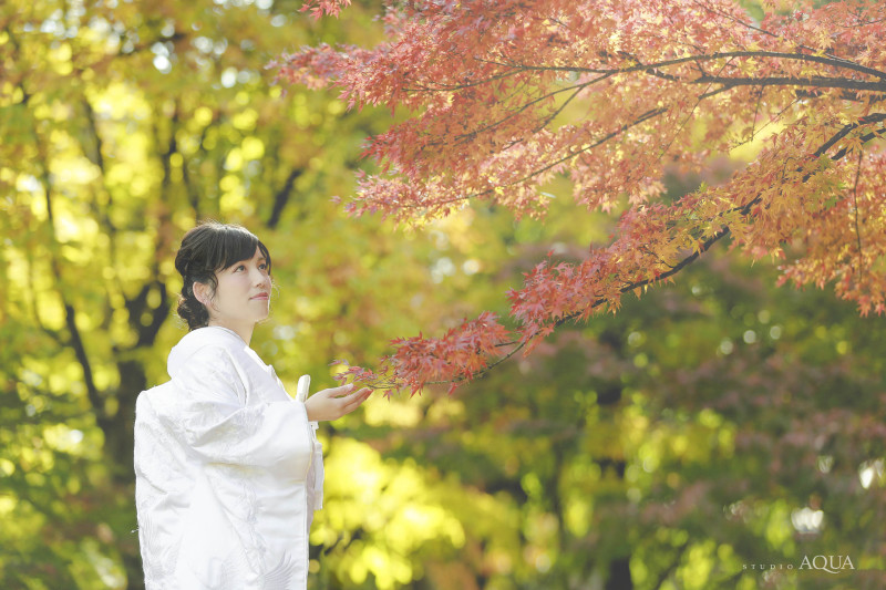 赤、緑、黄色のコントラストがステキ♪