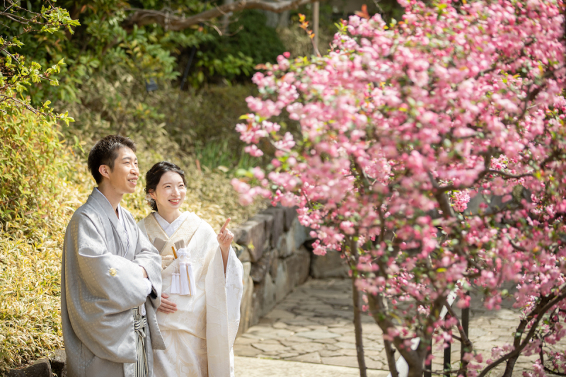 ピンク色がきれい