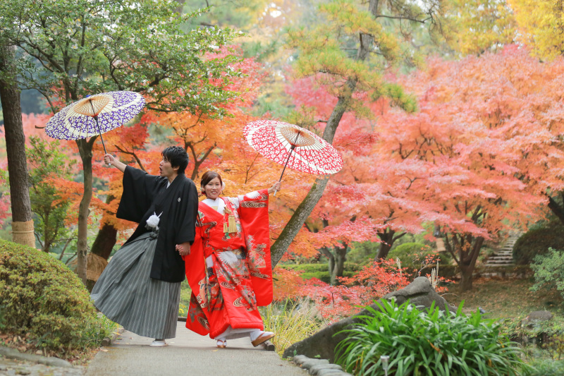 赤と緑を背景に