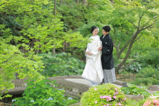 鮮やかな緑が広がっています