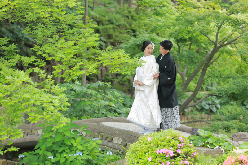 鮮やかな緑が広がっています