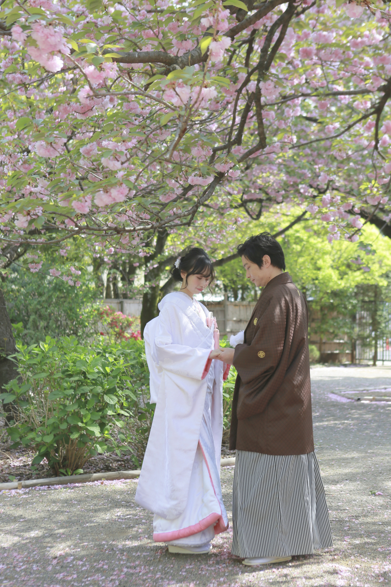 桜撮影のご予約続々