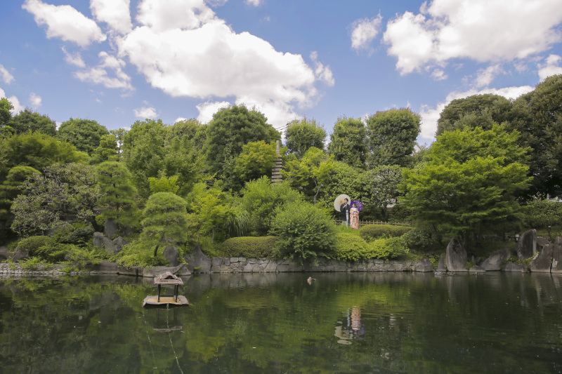 夏の目白庭園は熱いスポット！