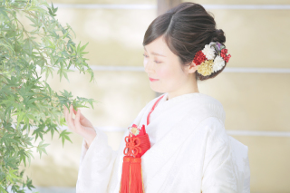 室内庭園スタジオ