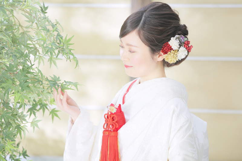 室内庭園スタジオ