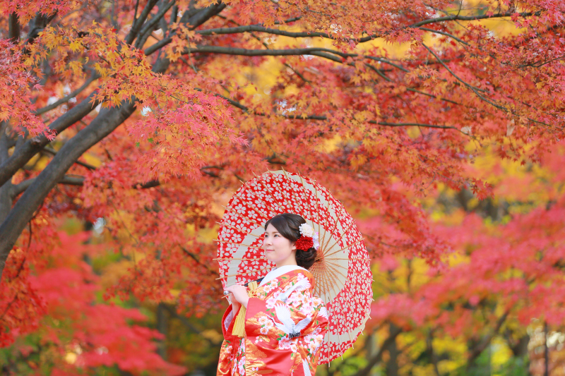 絵画のような、赤