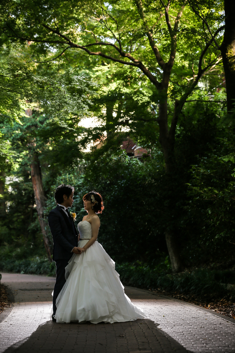 木漏れ日がきれい！