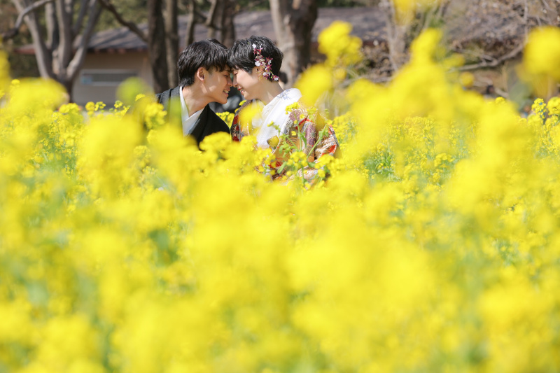 菜の花と一緒に