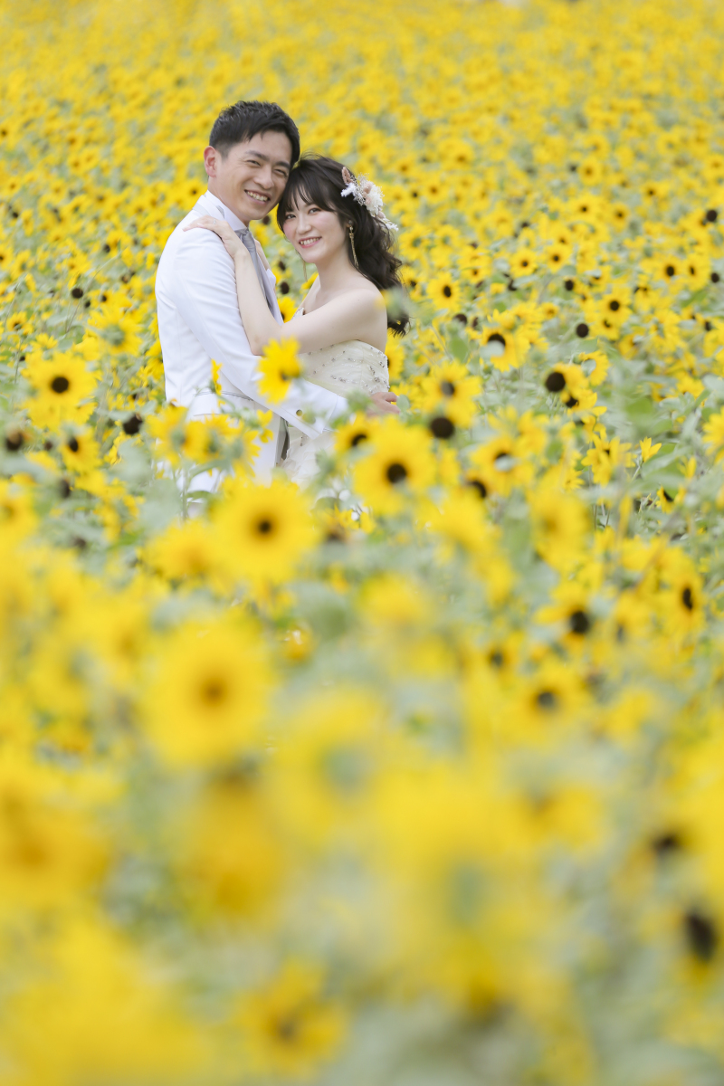 ひまわりの中で