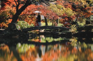肥後細川庭園の紅葉