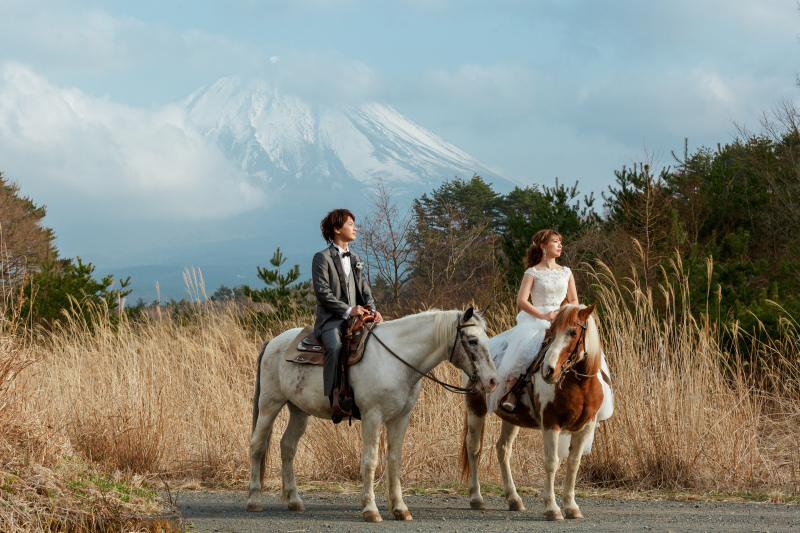 馬と富士山