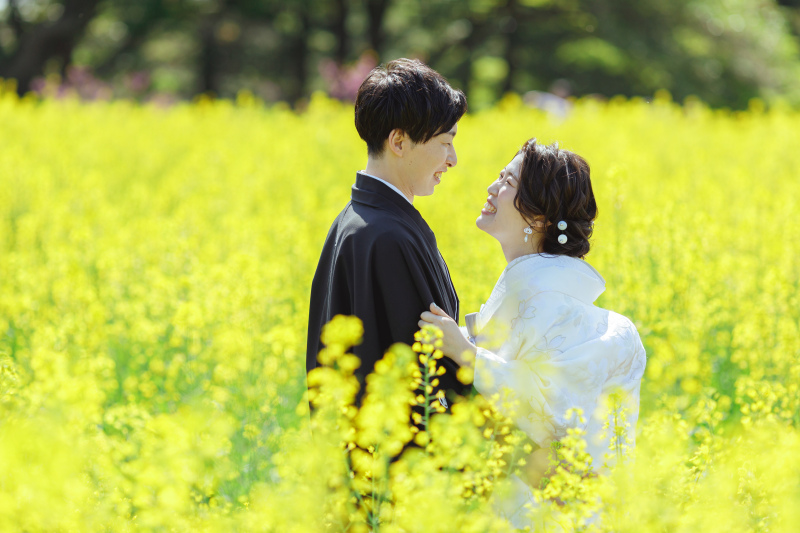 菜の花畑の中で