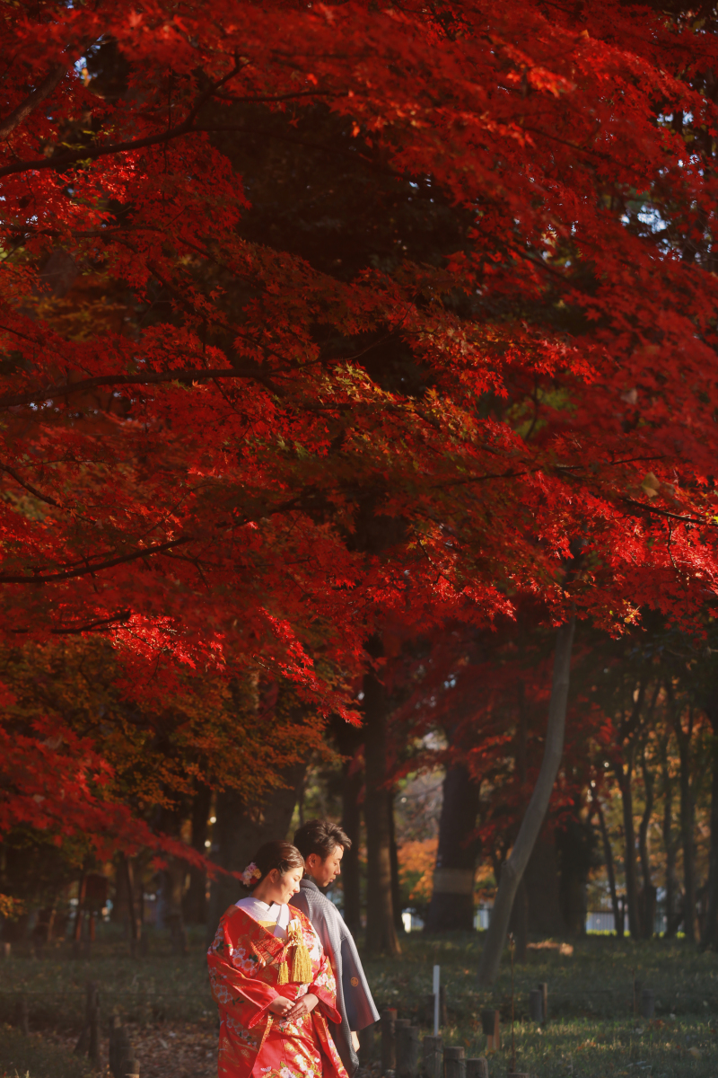 焔のような、紅