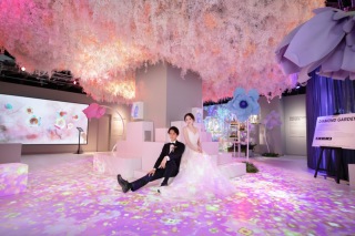 新プラン登場いたしました！！