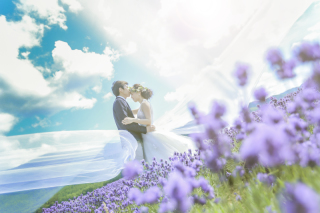 夏の北海道に行こーーーーーーーーーーーー！！