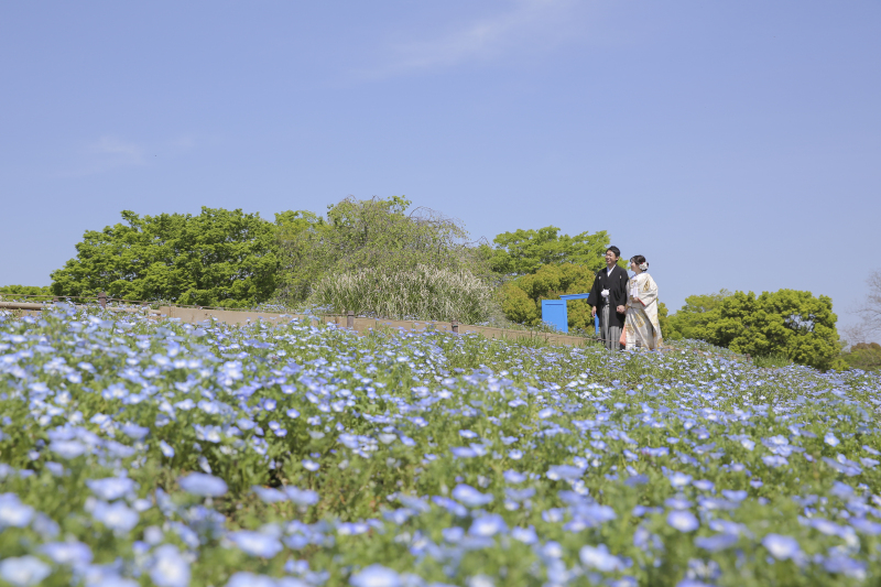 昭和記念公園を散策！