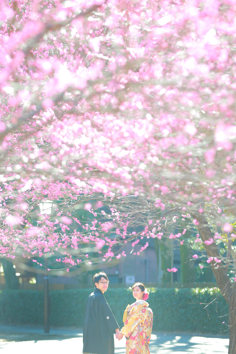 梅と逆光のコンビネーション！