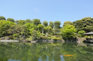 目白庭園で新緑と撮影しませんか♪