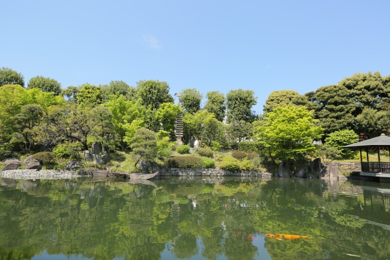 目白庭園で新緑と撮影しませんか♪