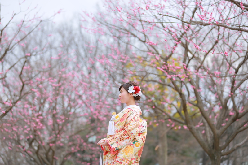 2月がおすすめ！