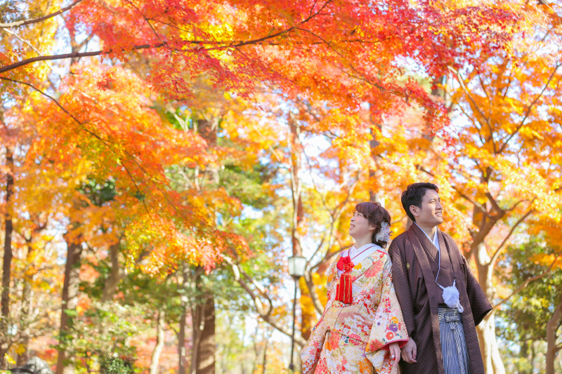 紅葉ロケーション