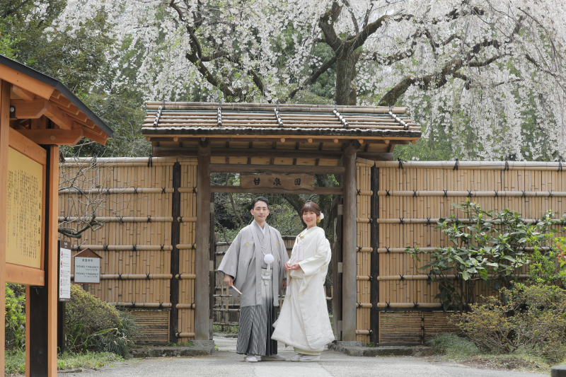 桜シーズン到来！