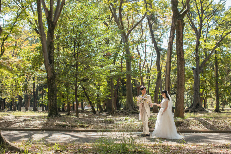 少し日が傾いた時間帯が光が綺麗なんです。